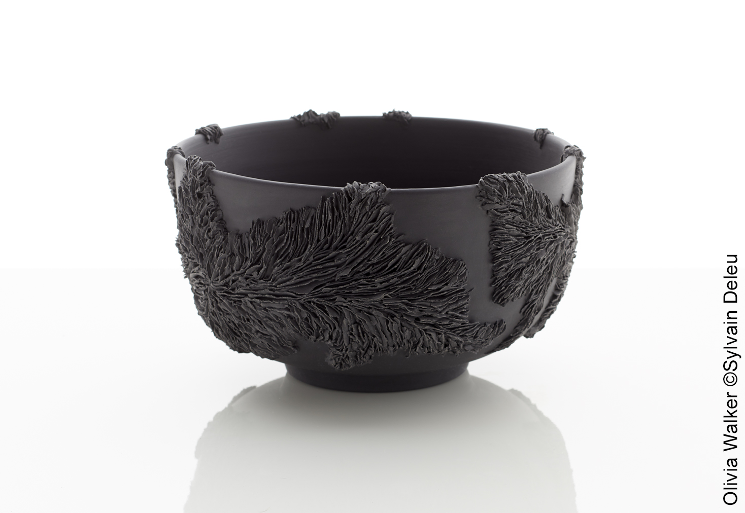 black ice_olivia walker